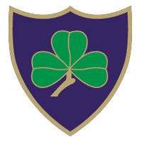 Escudo de HURLING