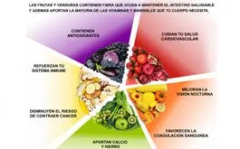 Vegetales y frutas