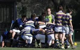 Fixtures de las Divisiones Juveniles