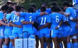 Formacion y actividad de Los Pumitas