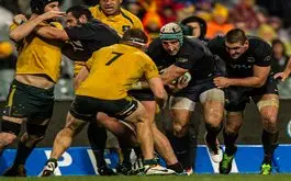 Plantel de Los Pumas para enfrentar a Nueva Zelanda y Australia