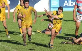 Hindu sigue solo arriba
