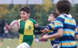 Reunion de Coordinadores de Rugby Infantil