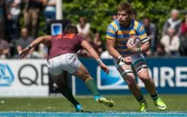 Hindu Finalista del URBA Top 14