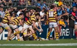 Belgrano goleo y es finalista del URBA Top 14