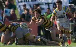 Belgrano campeon del URBA Top 14