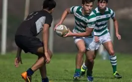 Fixtures de los torneos de las divisiones juveniles