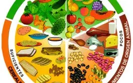 Informe sobre Nutricion