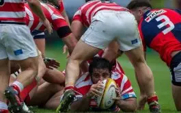 Alumni derroto a San Luis y es finalista del URBA Top 12