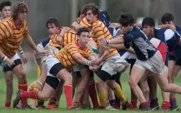 Fixtures de los torneos de rugby juvenil URBA 2019