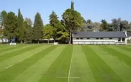 Mantenimiento de los campos de juego