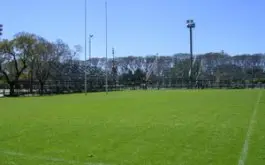 Canchas con uso excesivo