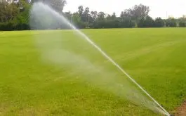 Practicas culturales para canchas con uso excesivo