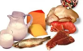 Importancia de las Proteinas