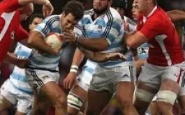 Los Pumas en Nueva Zelanda