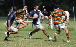 Fixtures completos divisiones juveniles 2012
