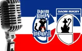 Daom comienza la reconstruccion