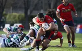 Punteros consolidados en la Copa DIRECTV