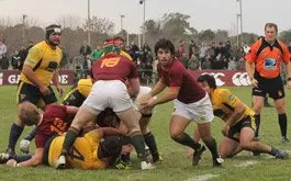 SIC e Hindu mandan en el Top 14