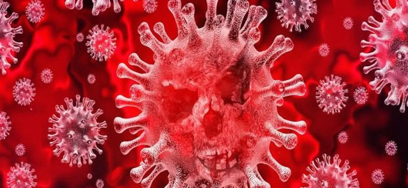 Información sobre nuevo Coronavirus circulante