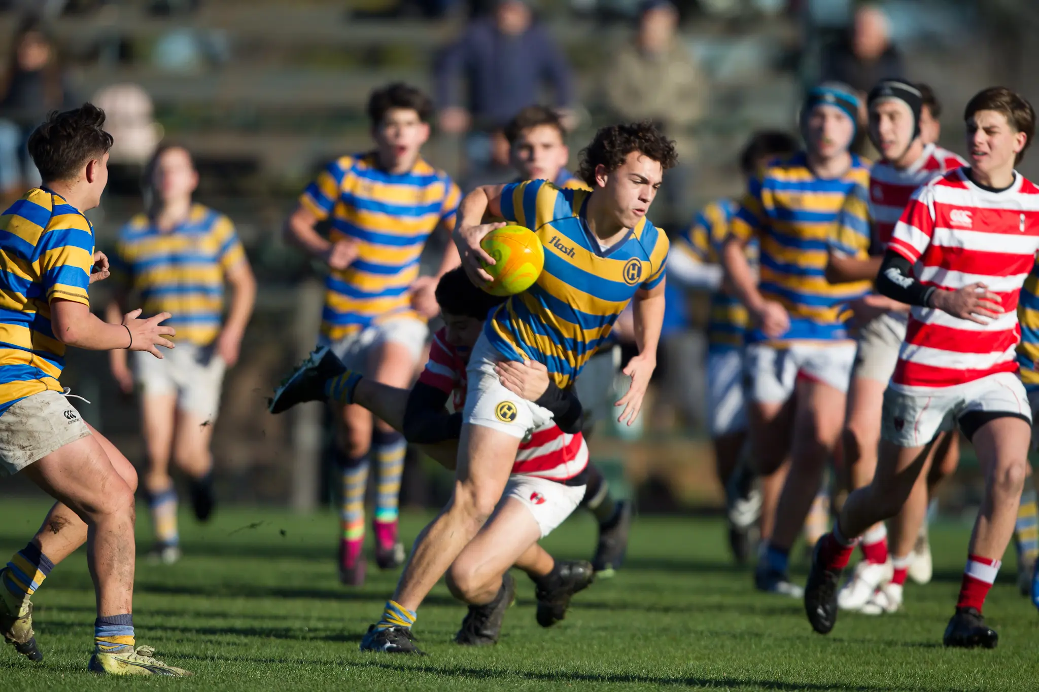 Fixtures de los torneos de Divisiones Juveniles Temporada 2024