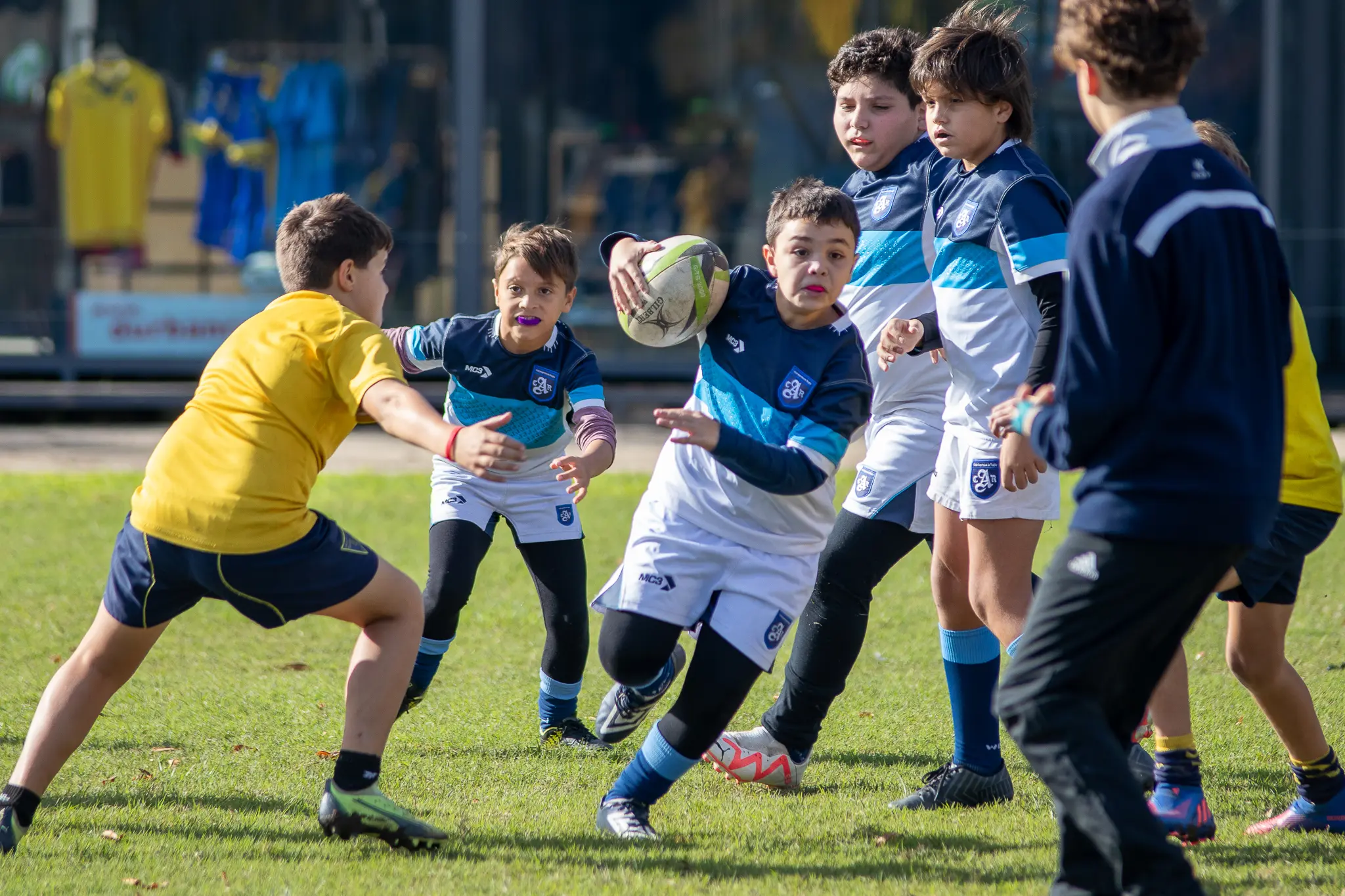 Fechas URBA de Rugby Infantil temporada 2025
