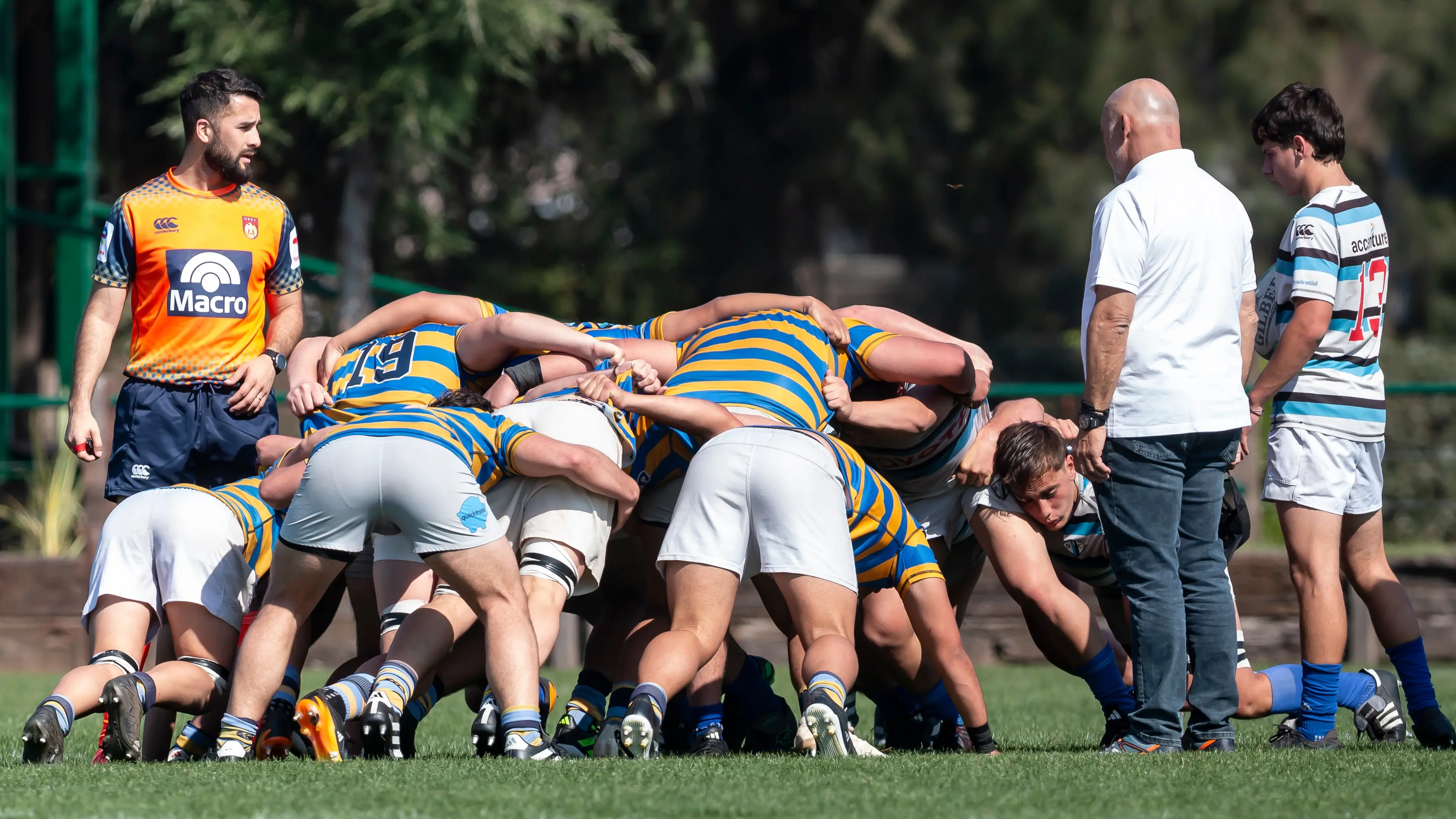 Fixtures de los torneos de las Divisiones Juveniles para la Temporada 2026