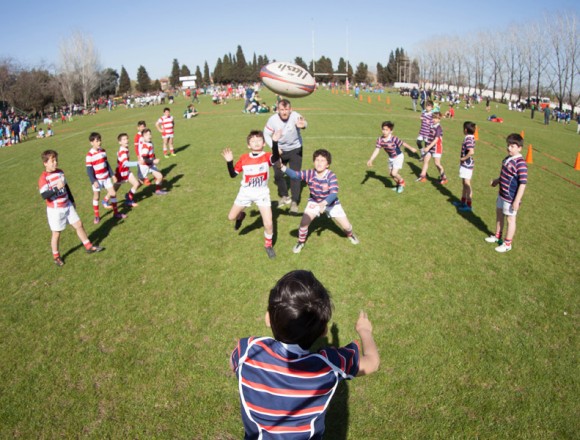 Charlas virtuales de Referato Didáctico 2023 para Rugby Infantil