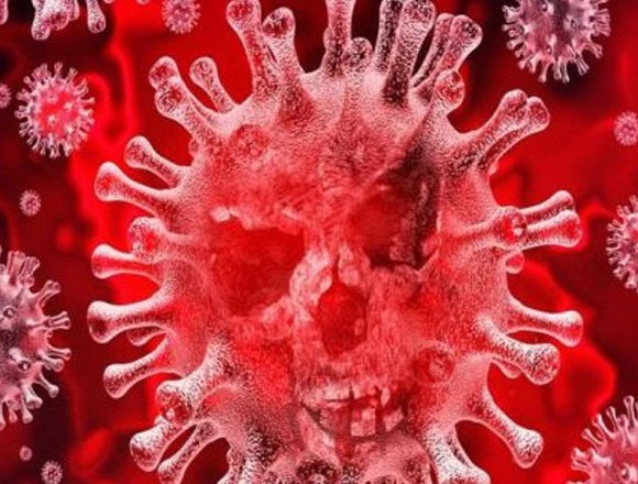 Información sobre nuevo Coronavirus circulante